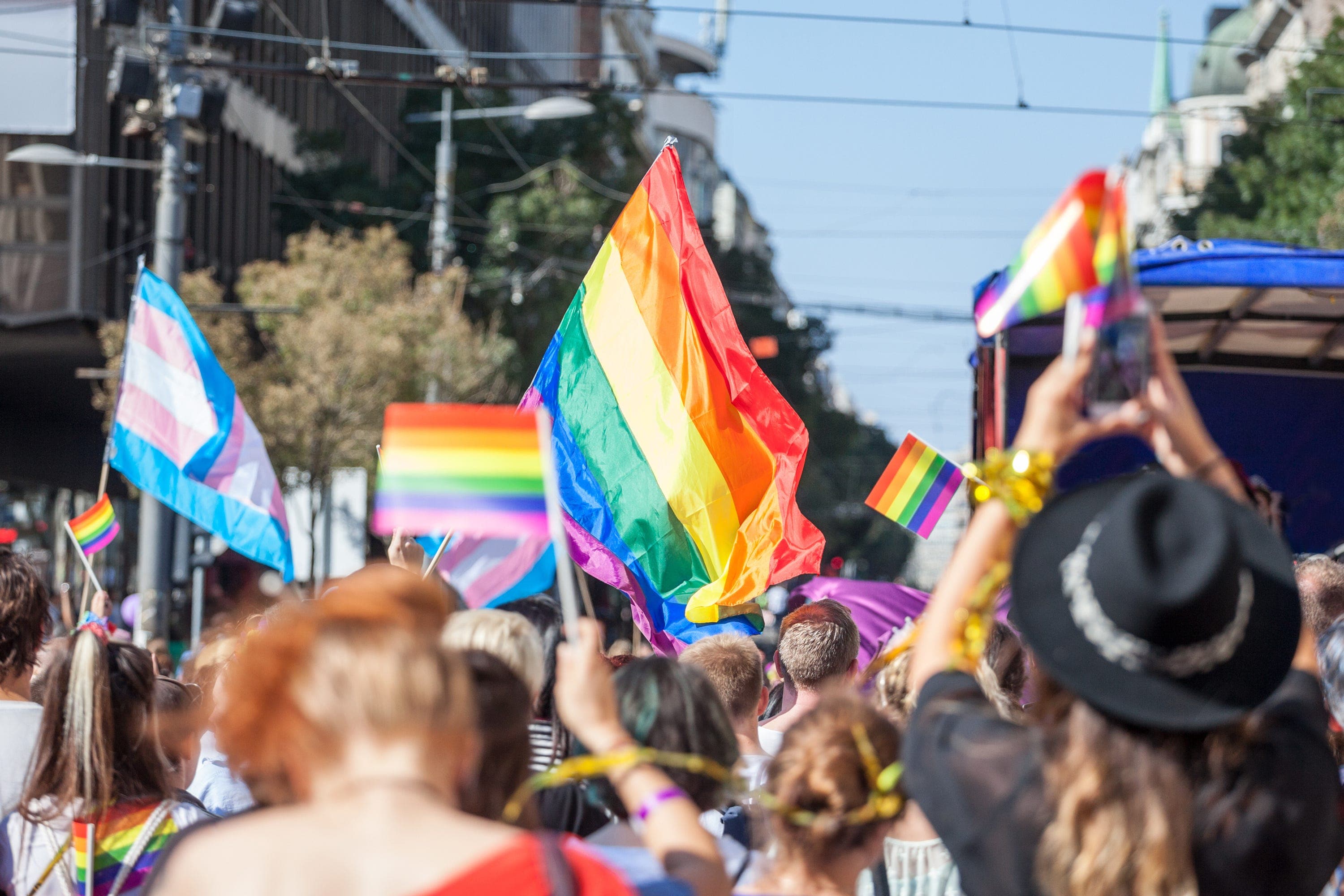 Overview of pride parade with large crowd of LGBTQ+ community and rainbow flags